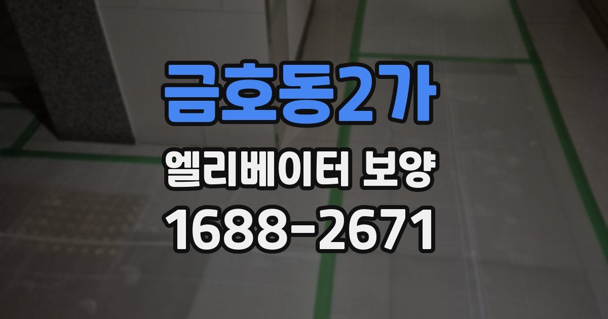 금호동2가 엘리베이터 보양