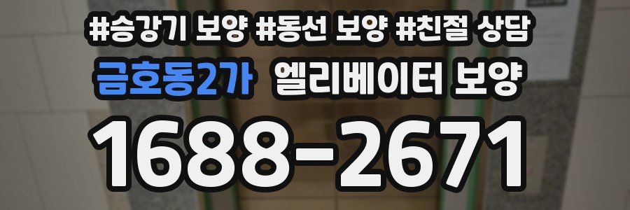 금호동2가 엘리베이터 보양