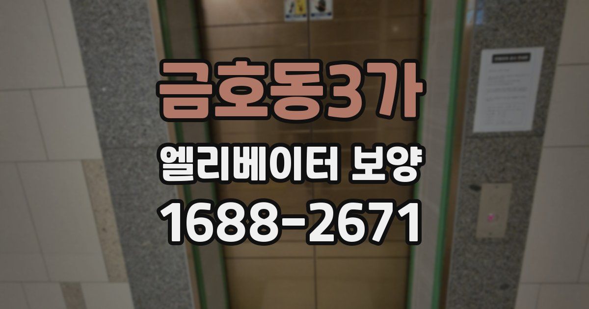 금호동3가 엘리베이터 보양