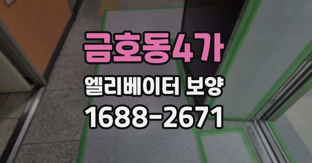 금호동4가 엘리베이터 보양