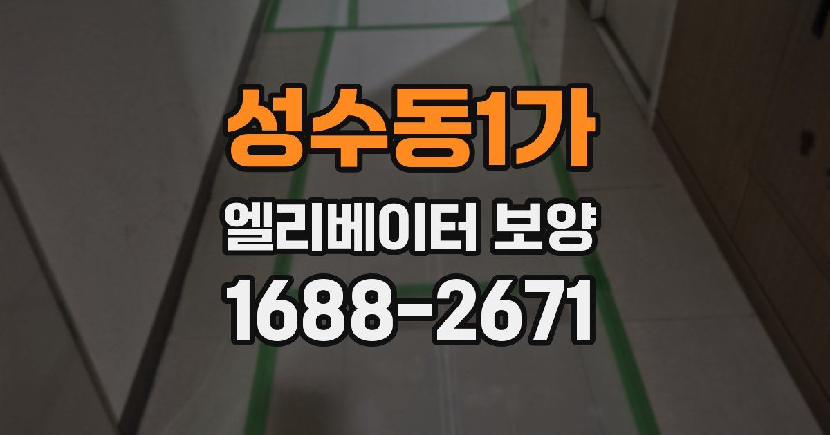 성수동1가 엘리베이터 보양