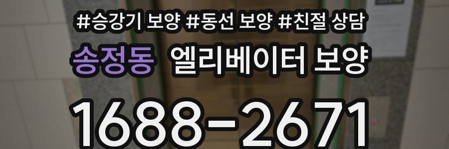 송정동 엘리베이터 보양