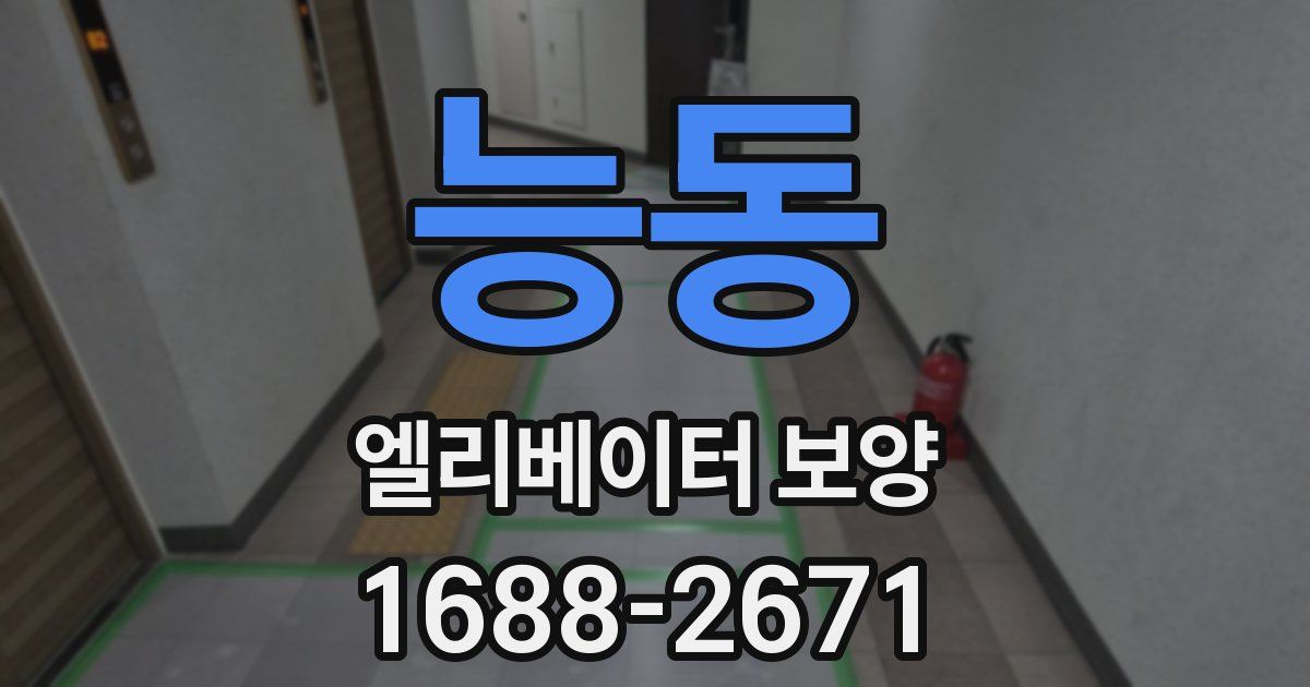 능동 엘리베이터 보양