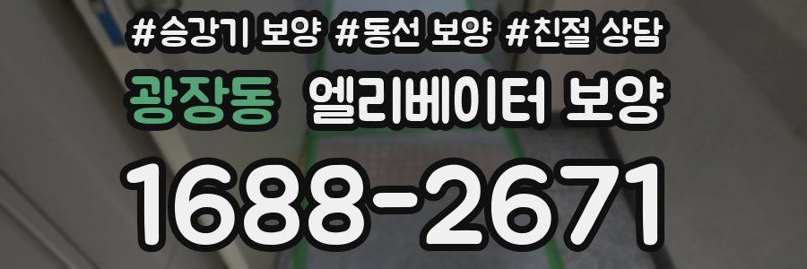 광장동 엘리베이터 보양