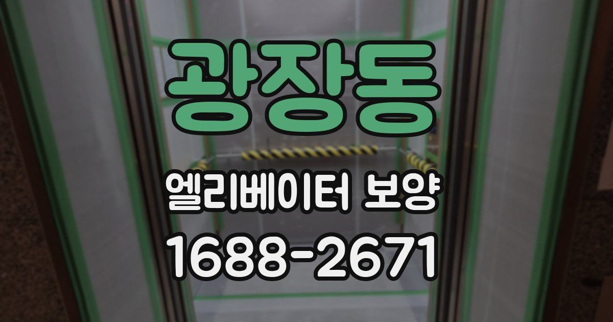 광장동 엘리베이터 보양