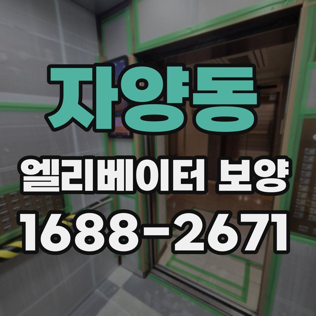자양동 엘리베이터 보양 작업에 적합한 자재 두께와 특징