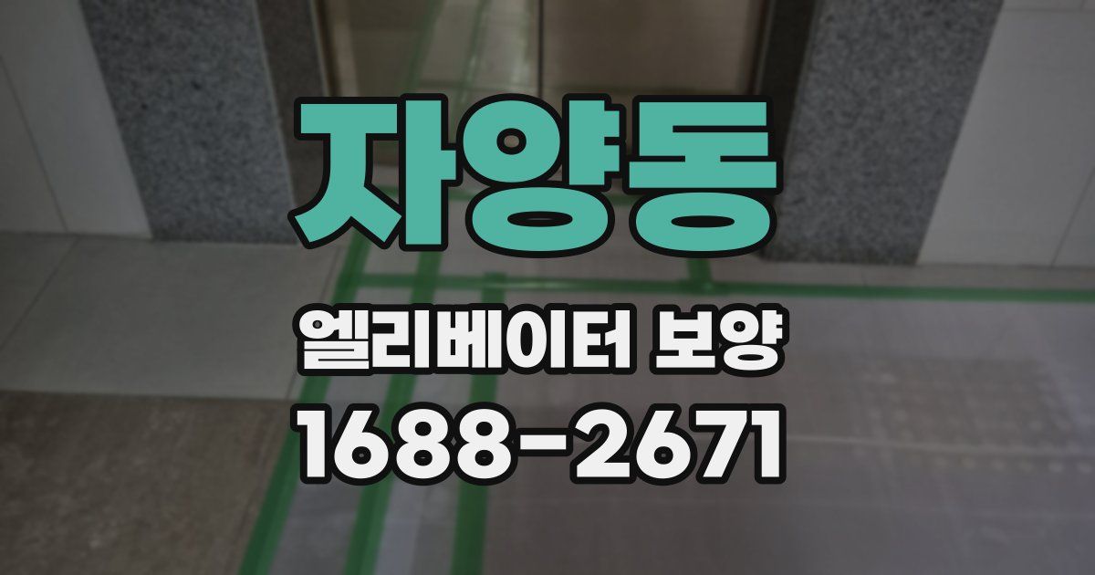 자양동 엘리베이터 보양