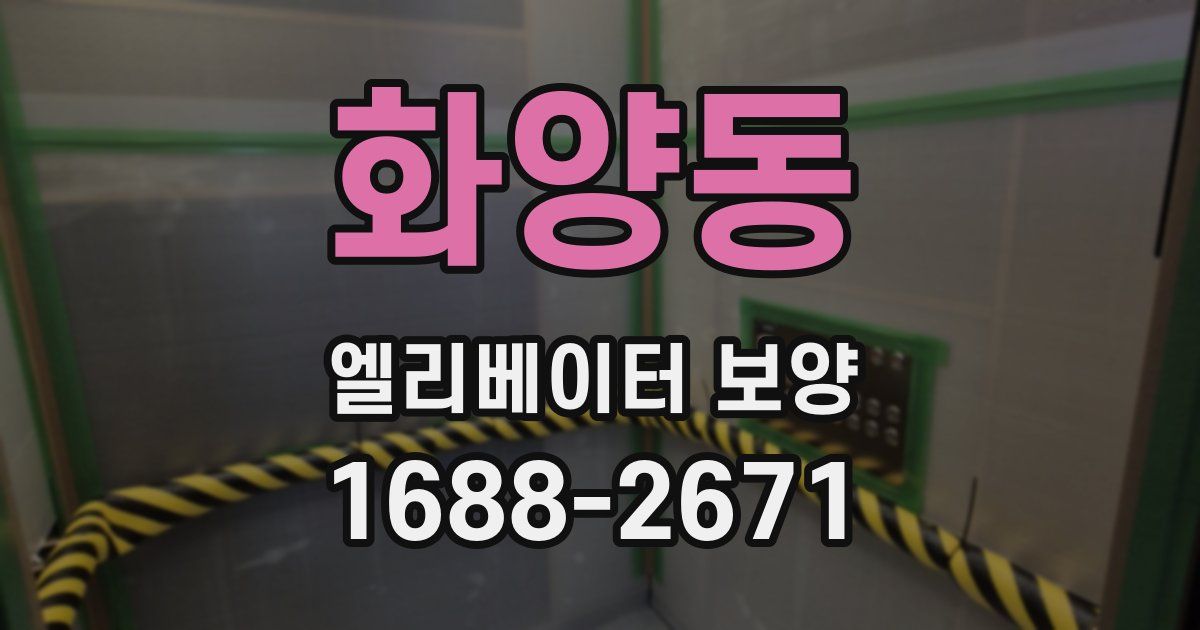 화양동 엘리베이터 보양