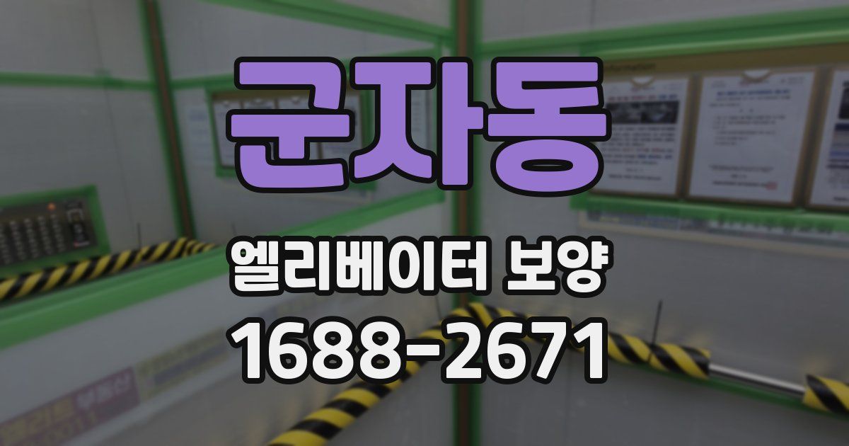 군자동 엘리베이터 보양