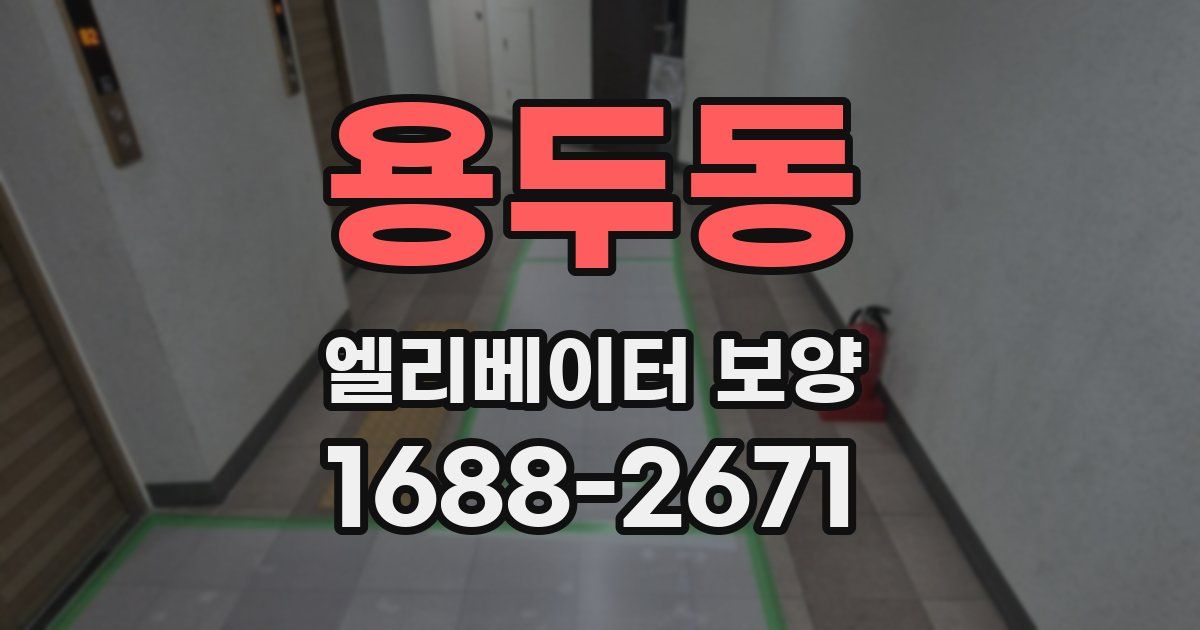용두동 엘리베이터 보양