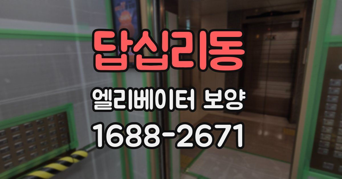 답십리동 엘리베이터 보양