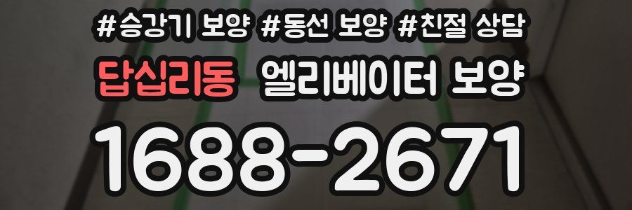 답십리동 엘리베이터 보양