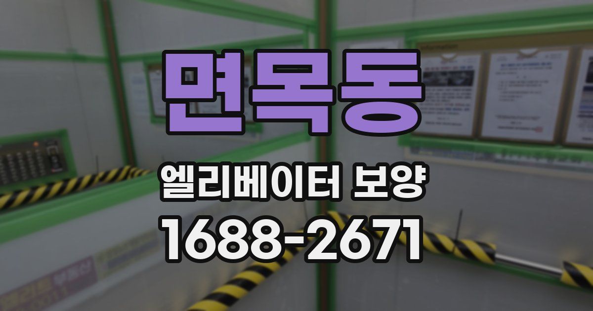 면목동 엘리베이터 보양