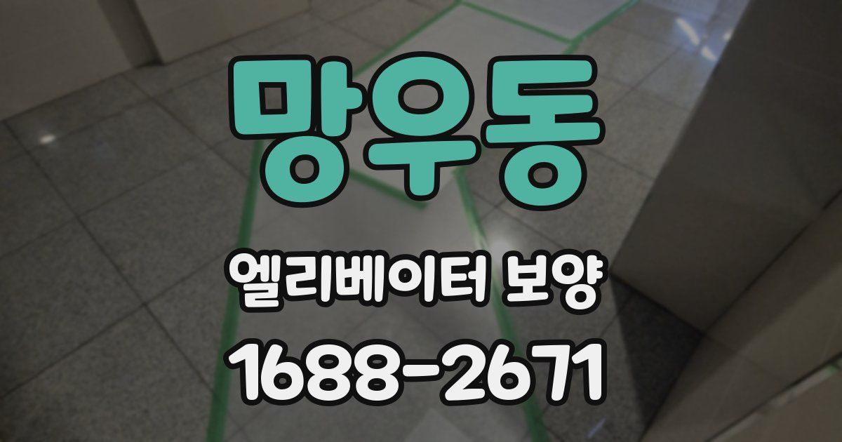 망우동 엘리베이터 보양