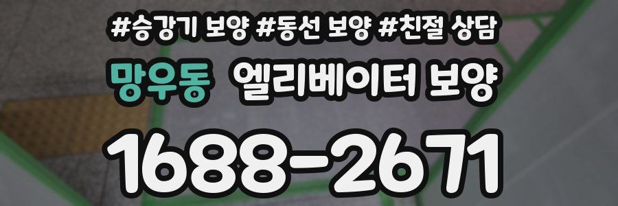 망우동 엘리베이터 보양