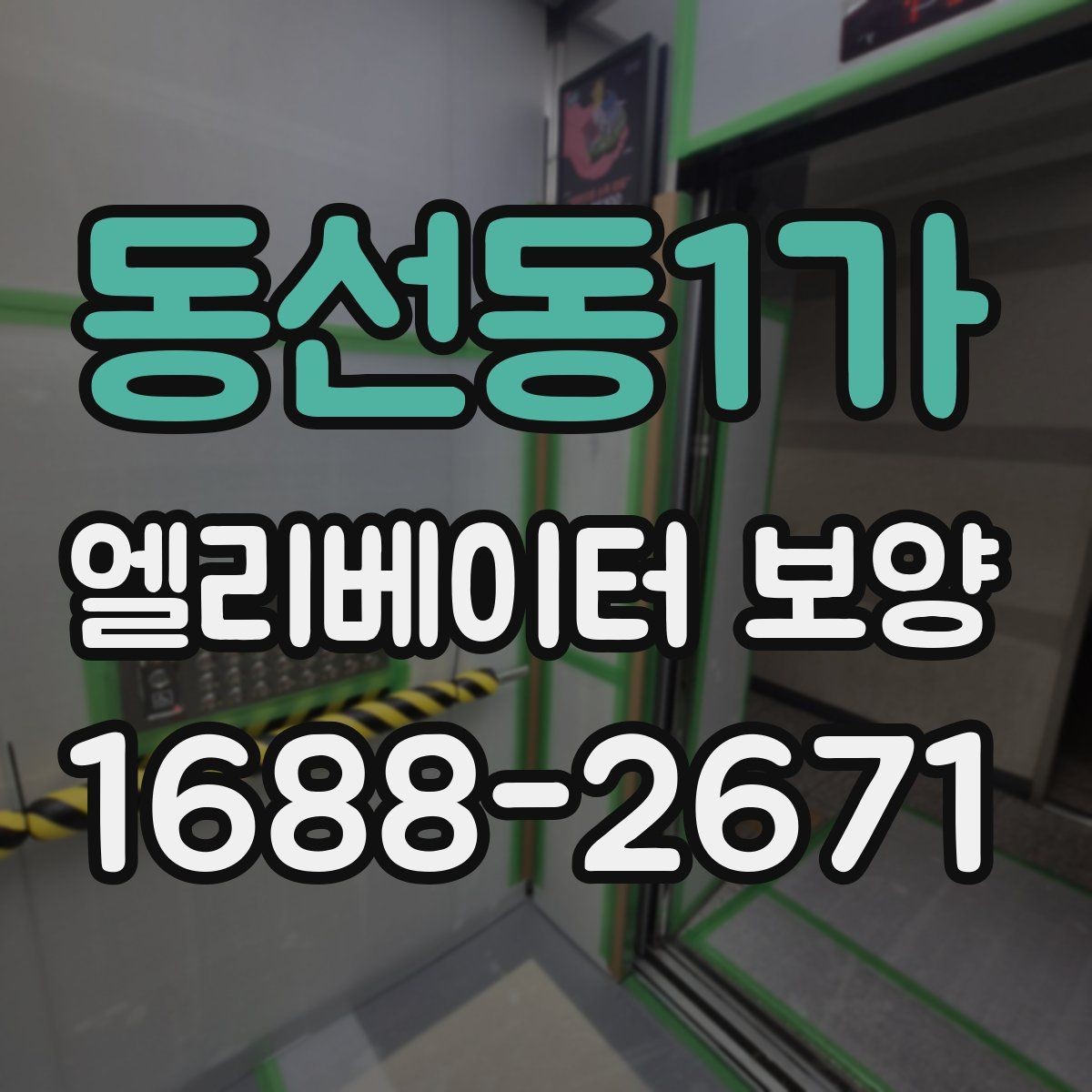 동선동1가 엘리베이터 보양 업체 비교 시 놓치기 쉬운 부분