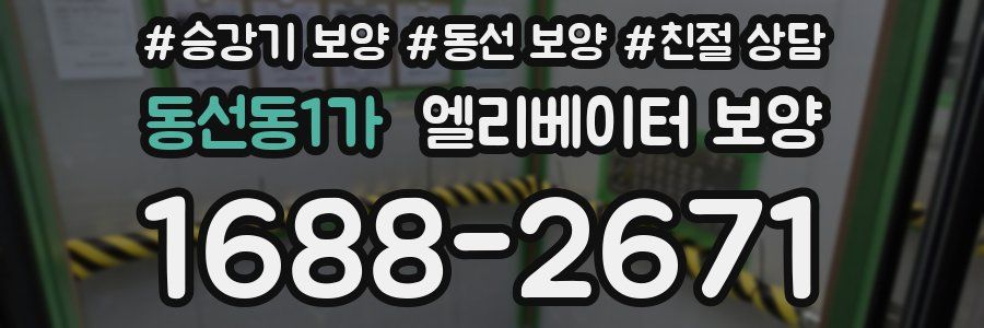 동선동1가 엘리베이터 보양