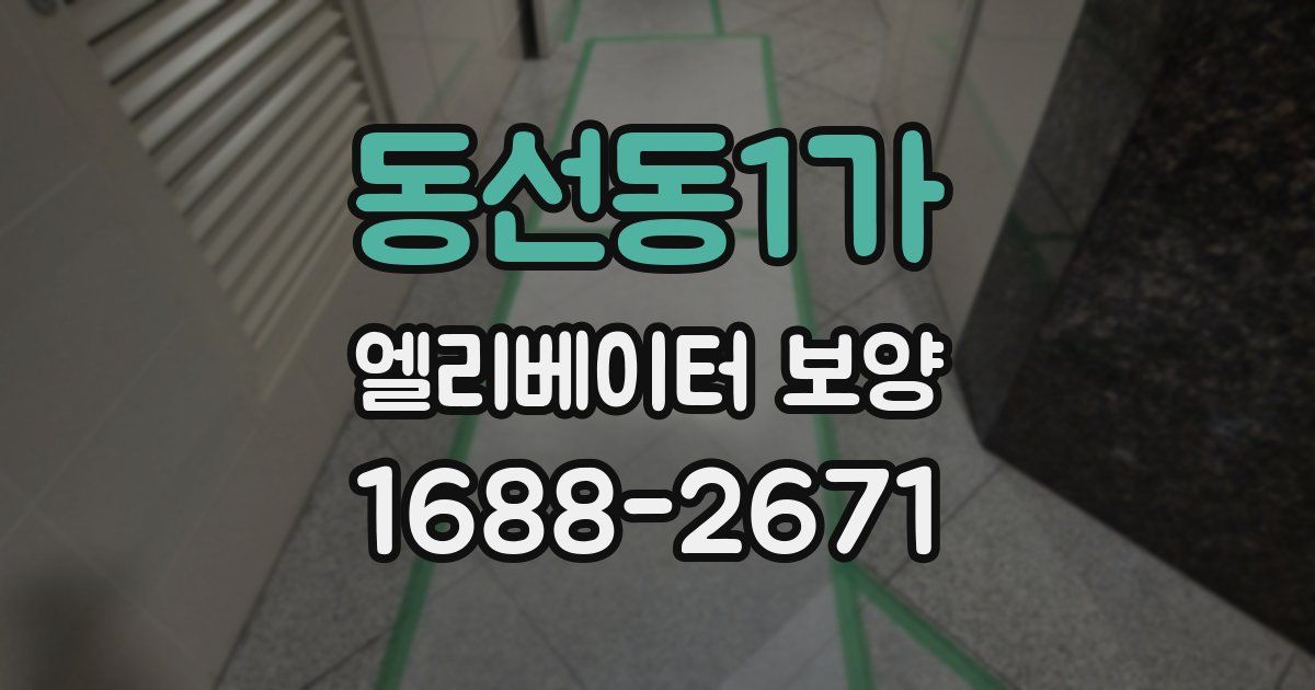 동선동1가 엘리베이터 보양
