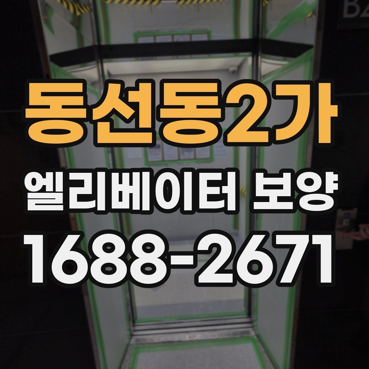 동선동2가 엘리베이터 보양 재료별 장단점 간단 비교