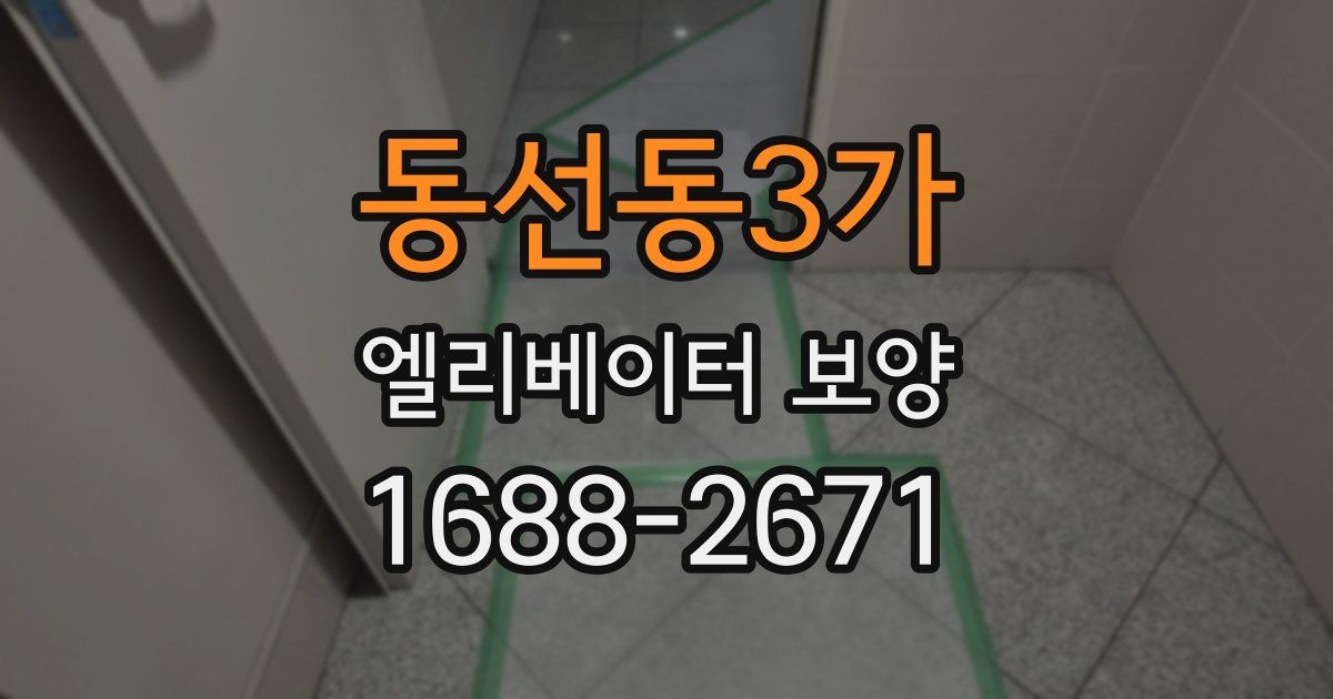 동선동3가 엘리베이터 보양