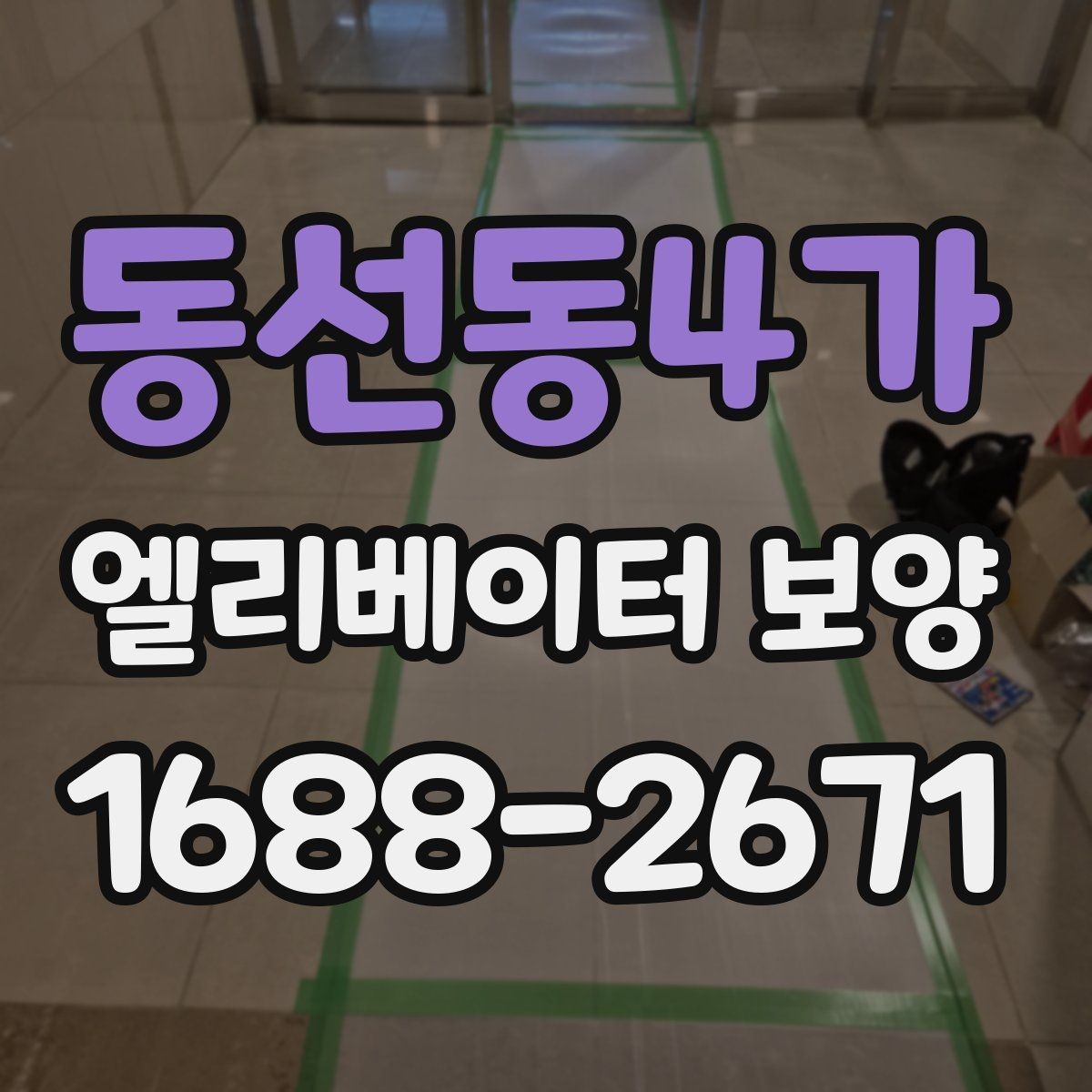 동선동4가 엘리베이터 보양 업체 선택 시 체크할 항목