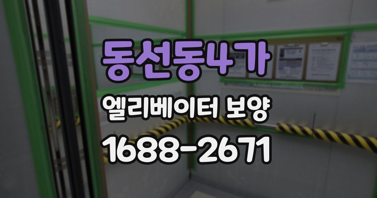 동선동4가 엘리베이터 보양