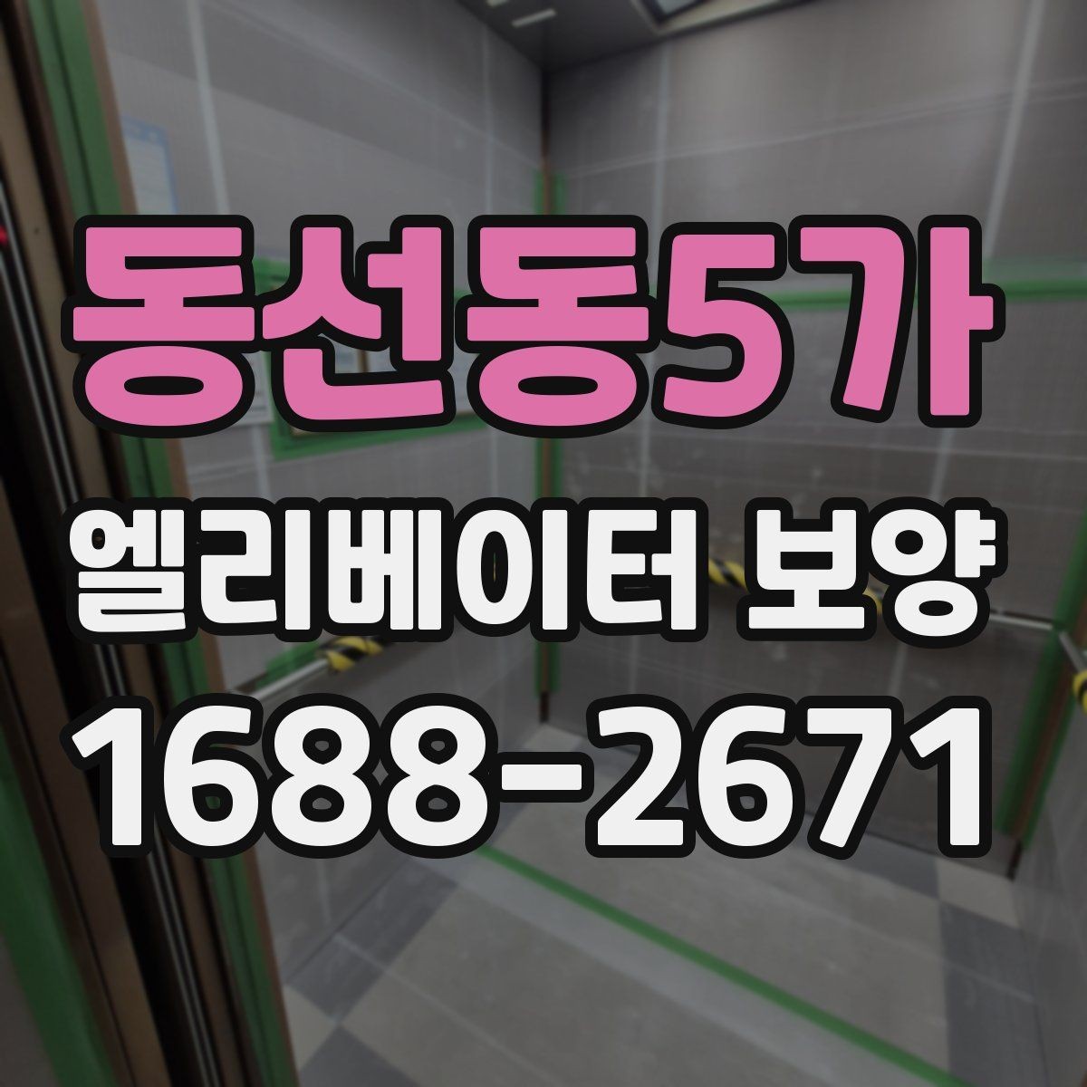 동선동5가 엘리베이터 보양 과정에서 확인할 안전 장비