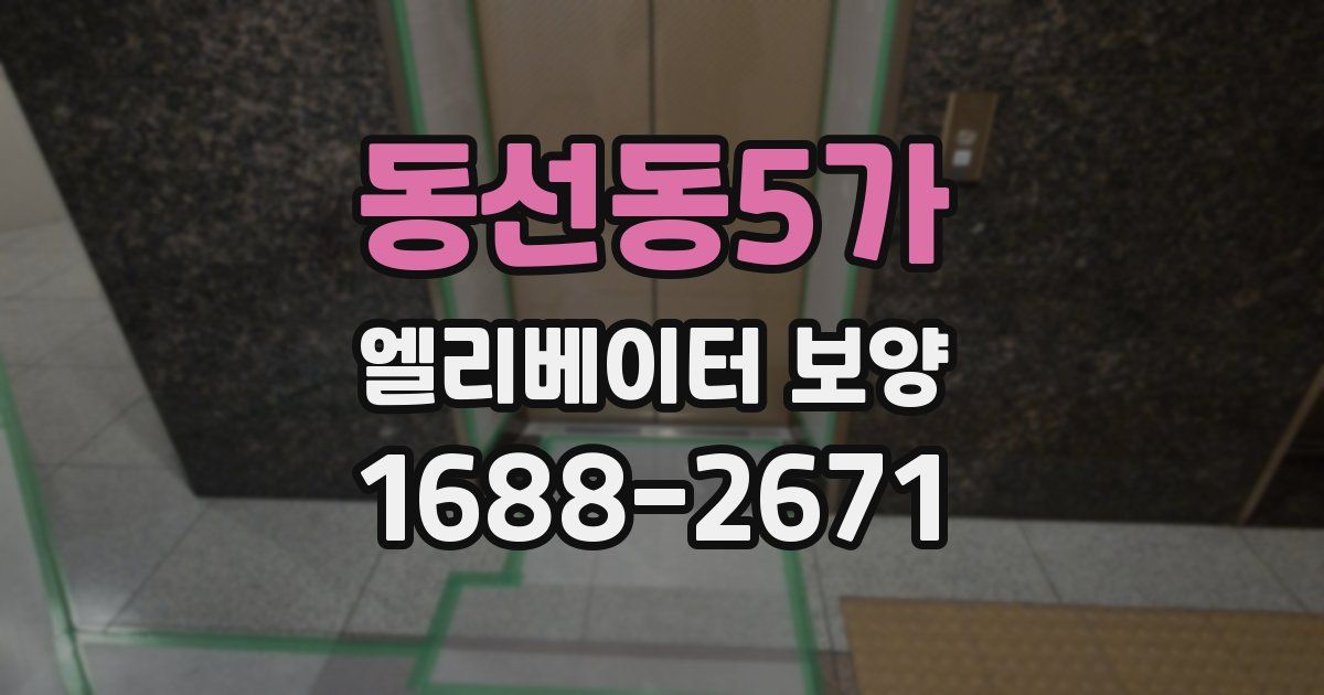 동선동5가 엘리베이터 보양