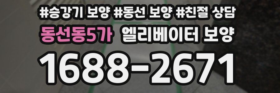 동선동5가 엘리베이터 보양