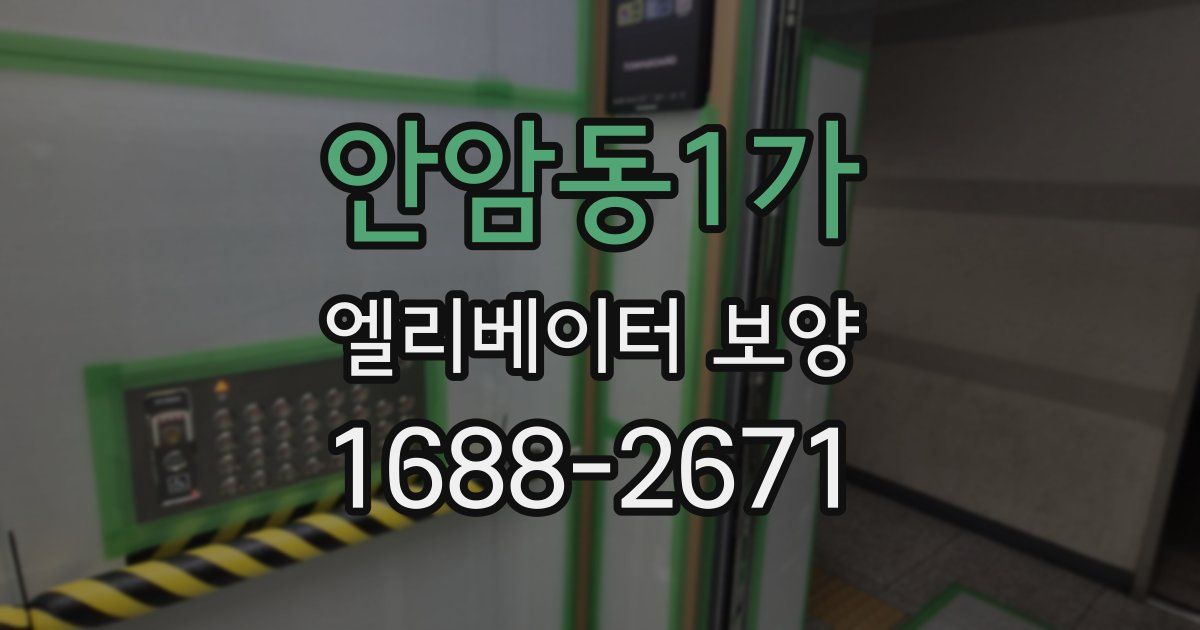 안암동1가 엘리베이터 보양