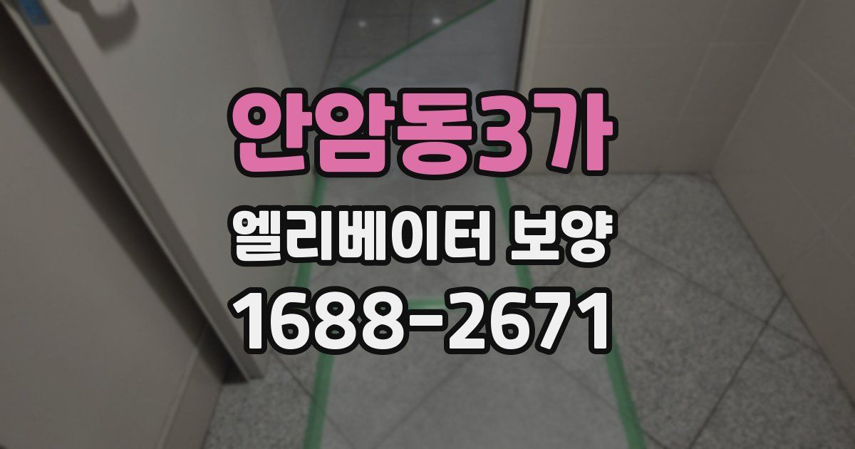 안암동3가 엘리베이터 보양