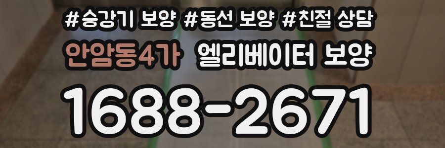 안암동4가 엘리베이터 보양