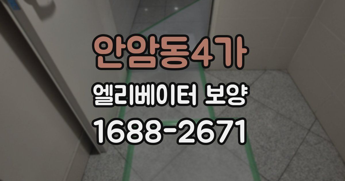 안암동4가 엘리베이터 보양