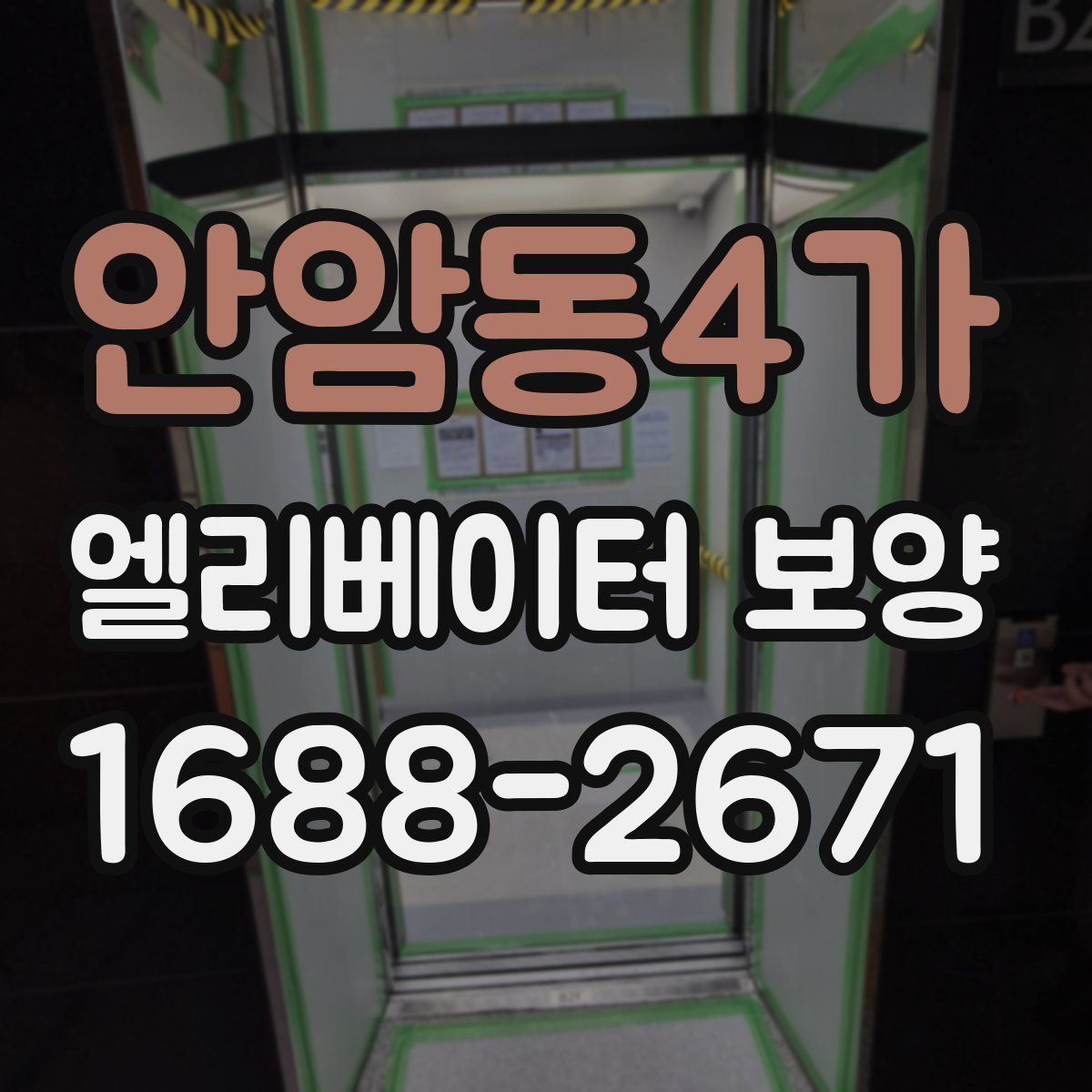 안암동4가 엘리베이터 보양