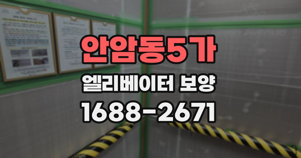 안암동5가 엘리베이터 보양