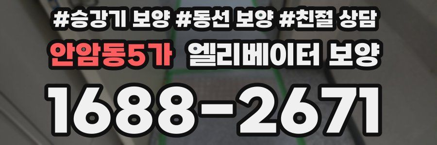 안암동5가 엘리베이터 보양