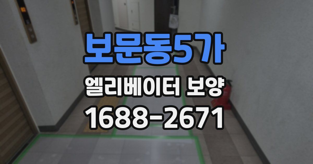 보문동5가 엘리베이터 보양