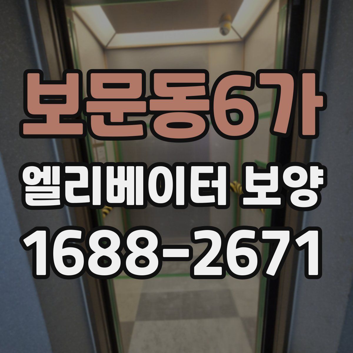 보문동6가 엘리베이터 보양