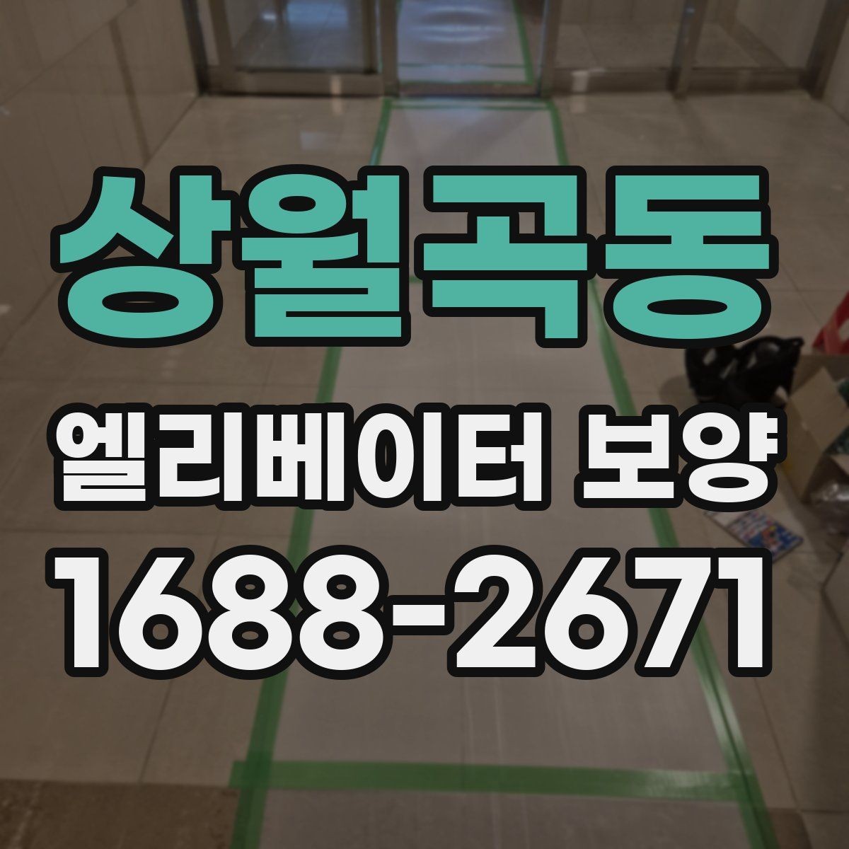 상월곡동 엘리베이터 보양 현장별 맞춤 적용 사례