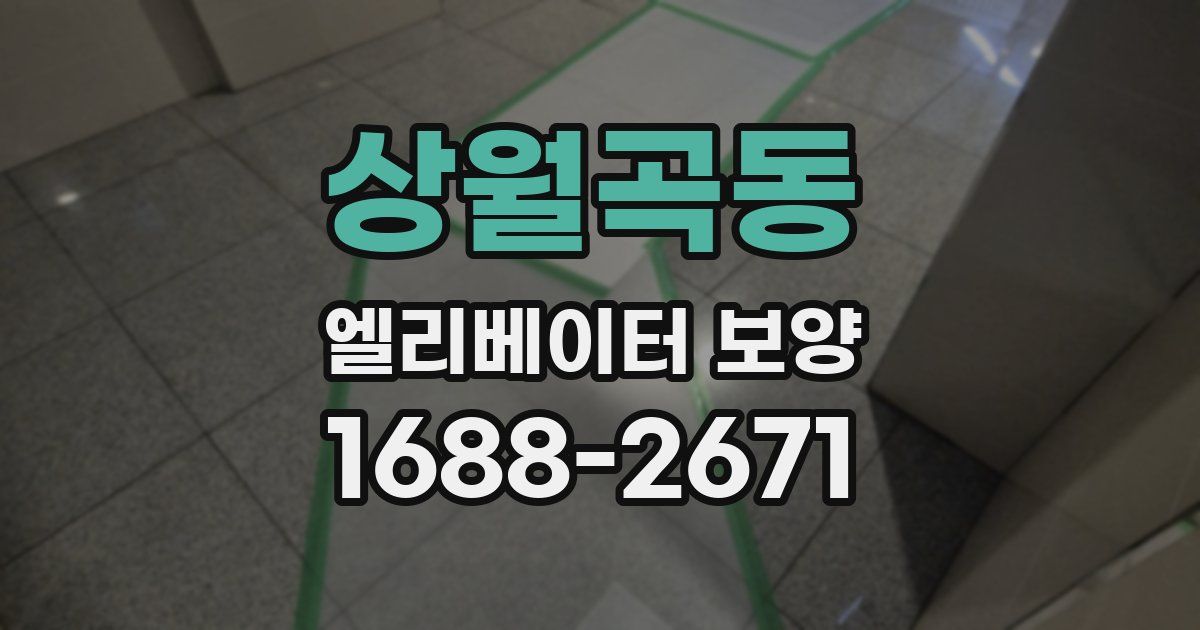 상월곡동 엘리베이터 보양