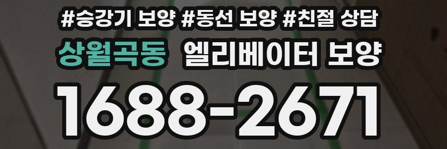 상월곡동 엘리베이터 보양