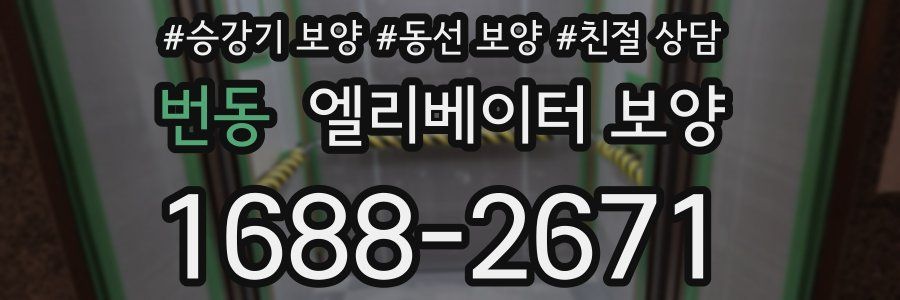 번동 엘리베이터 보양