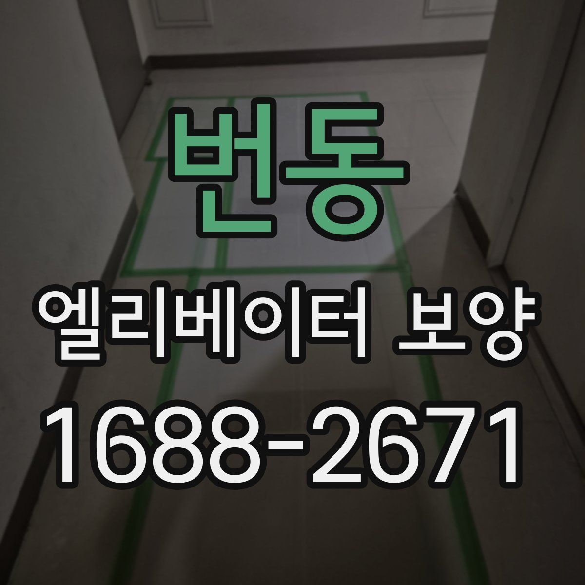 번동 엘리베이터 보양