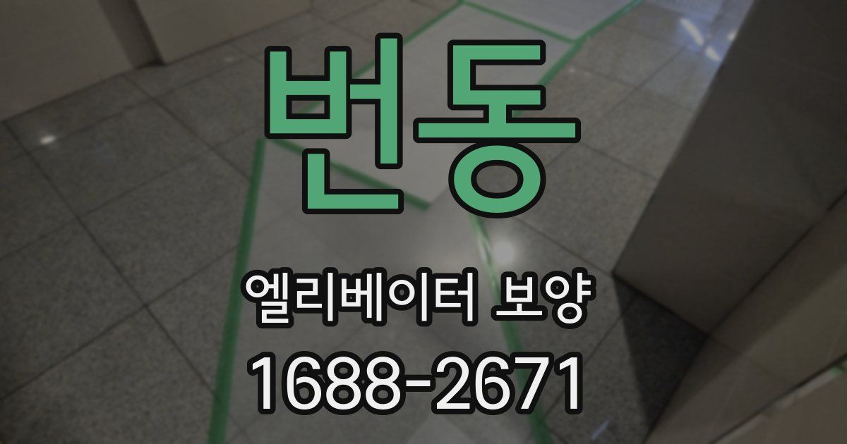 번동 엘리베이터 보양