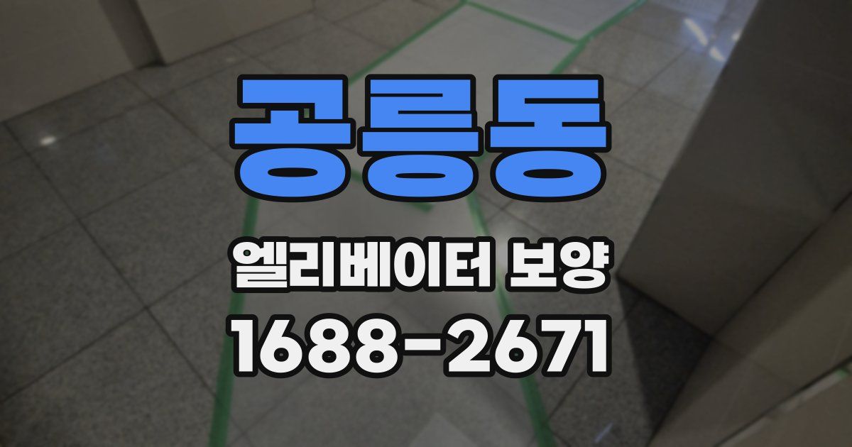 공릉동 엘리베이터 보양