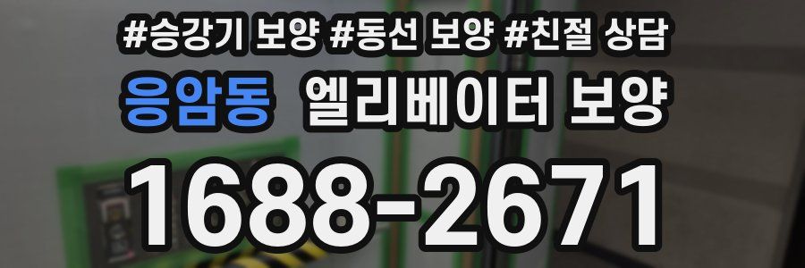 응암동 엘리베이터 보양