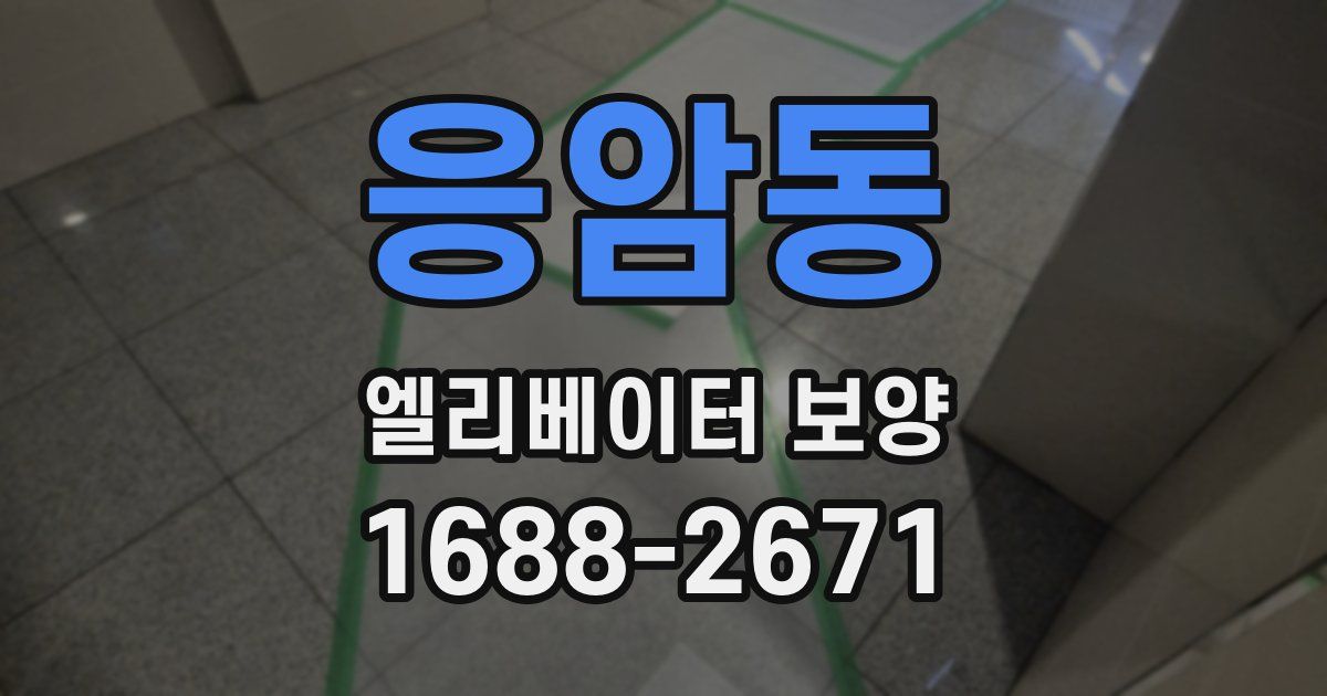 응암동 엘리베이터 보양