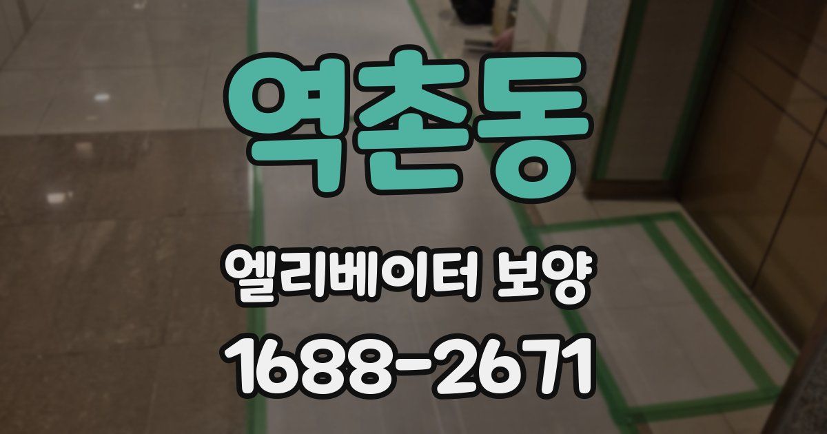 역촌동 엘리베이터 보양