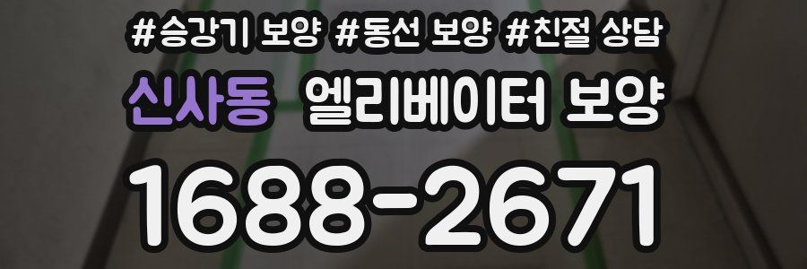 신사동 엘리베이터 보양