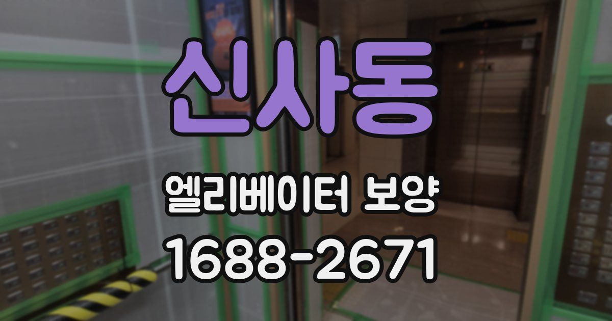 신사동 엘리베이터 보양